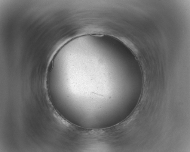 X0000061120912200512022149