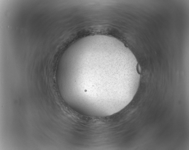 X0000061120913200512022148