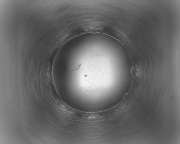 X0000061120915200512022148