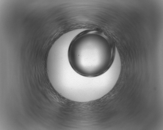 X0000061120916200512022148