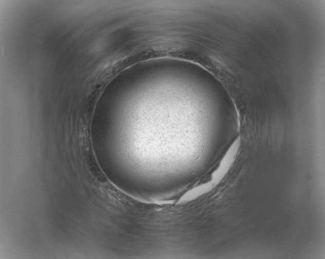 X0000061120917200512022148