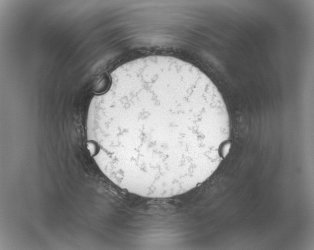 X0000061120918200512022148