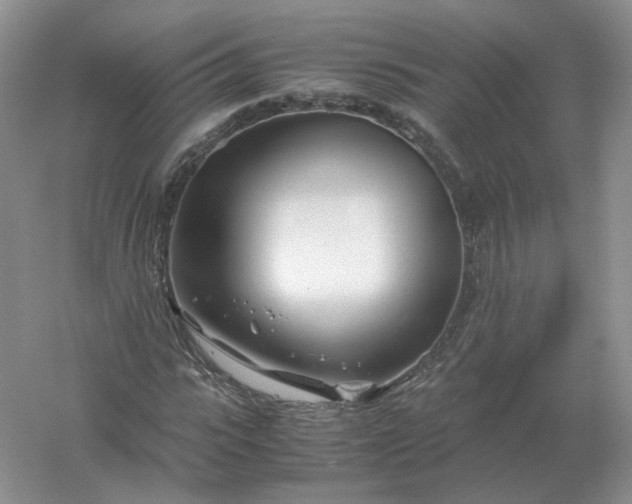 X0000061120919200512022148