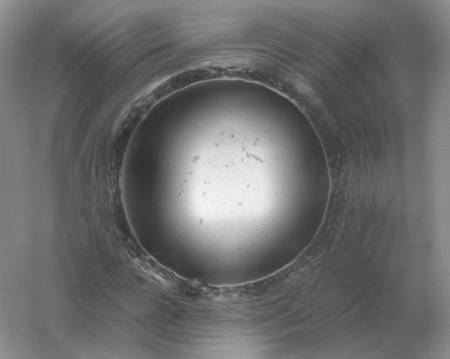 X0000061120920200512022148