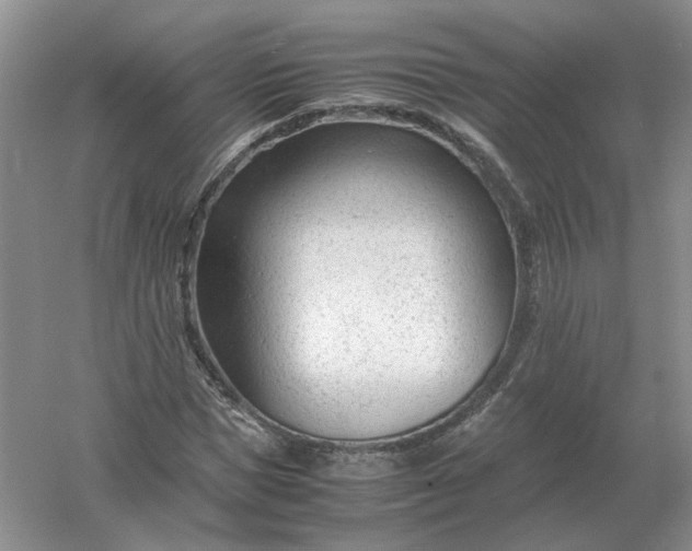 X0000061120921200512022148