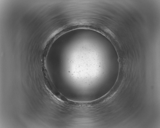 X0000061120922200512022148