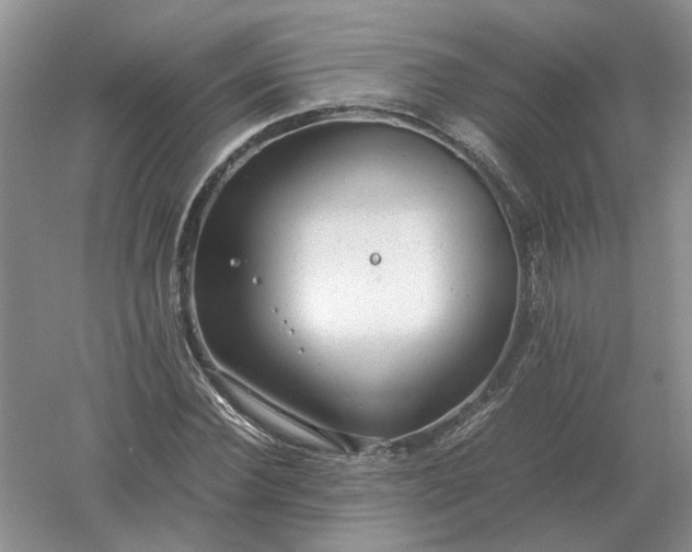 X0000061120924200512022148