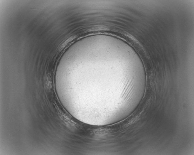 X0000061120929200512022148