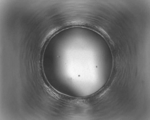 X0000061120930200512022148