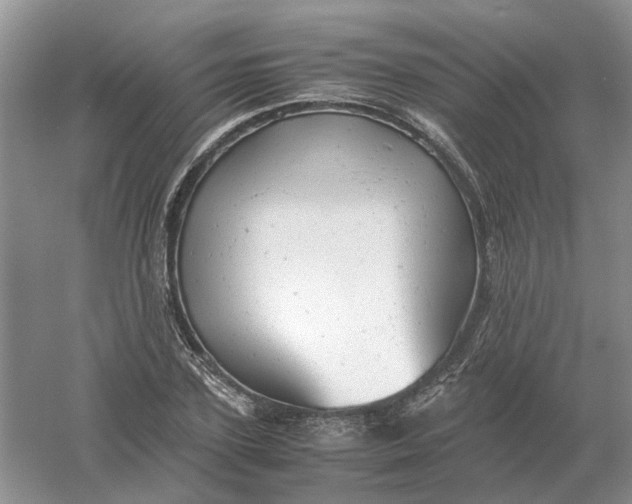 X0000061120931200512022148