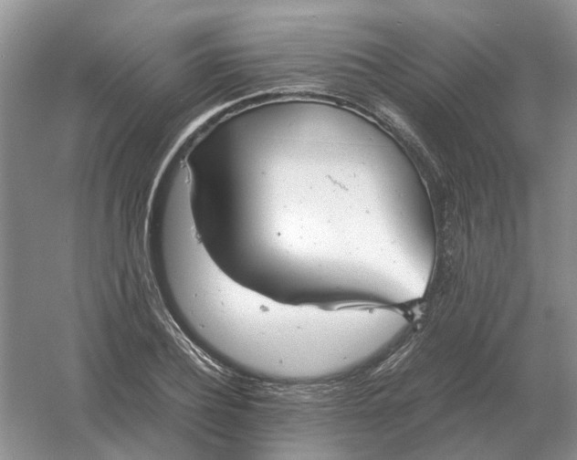 X0000061120932200512022148