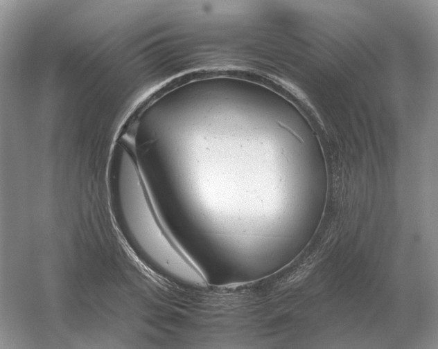 X0000061120935200512022148