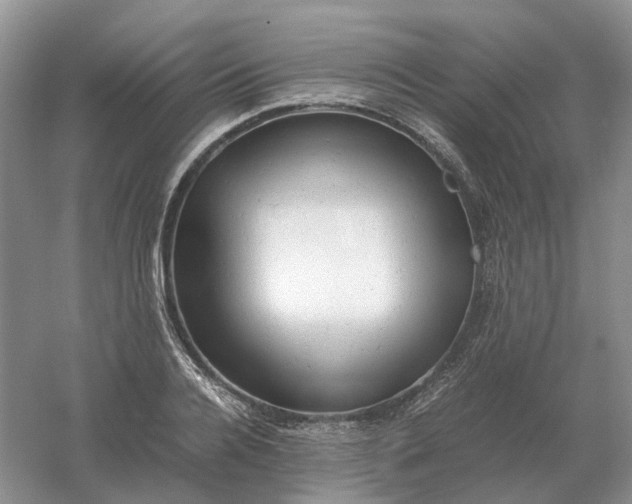 X0000061120936200512022148