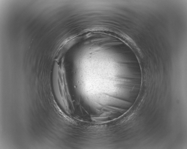 X0000061120937200512022148