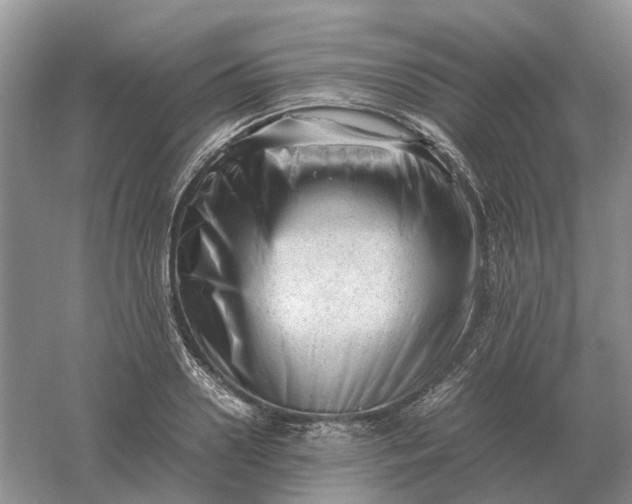 X0000061120938200512022148