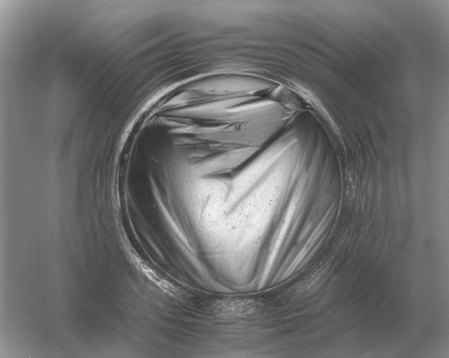 X0000061120939200512022148