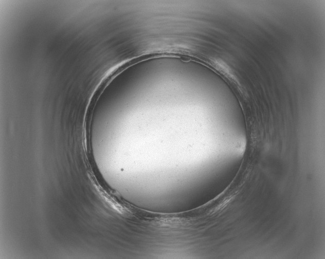 X0000061120940200512022148