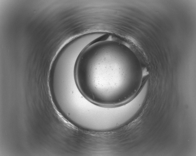 X0000061120942200512022148