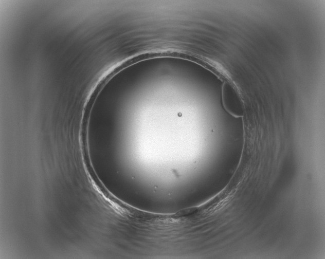 X0000061120943200512022148