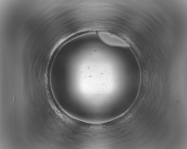 X0000061120944200512022148