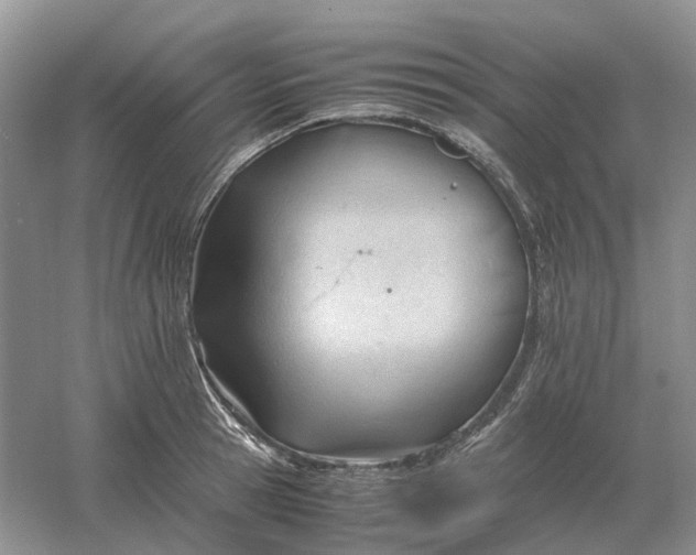 X0000061120945200512022149