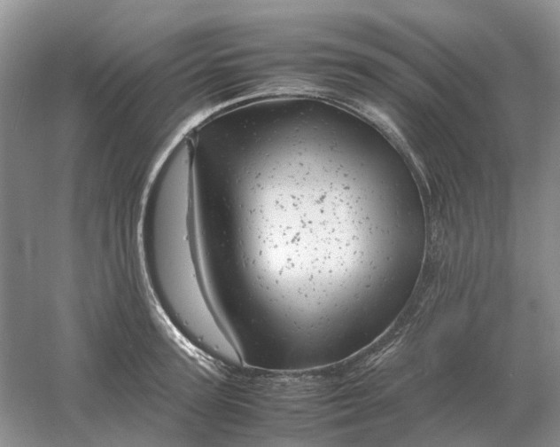 X0000061120947200512022149