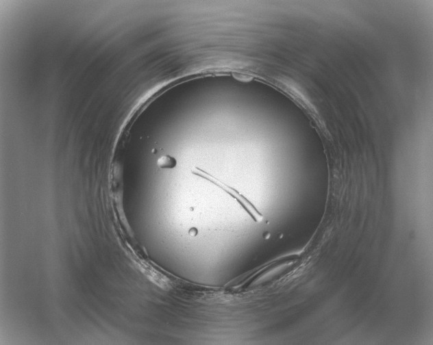 X0000061120948200512022149