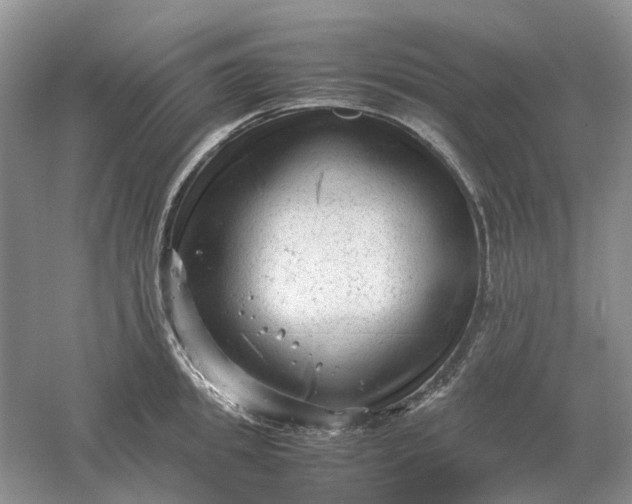 X0000061120949200512022149