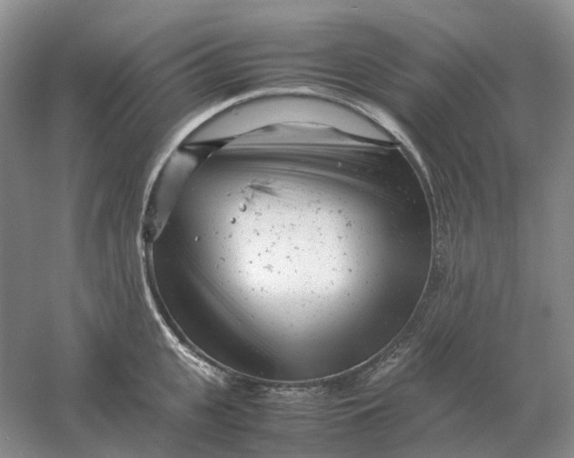 X0000061120951200512022149