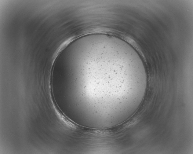 X0000061120954200512022149