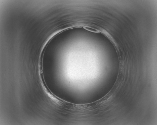 X0000061120955200512022149