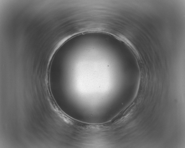 X0000061120956200512022149