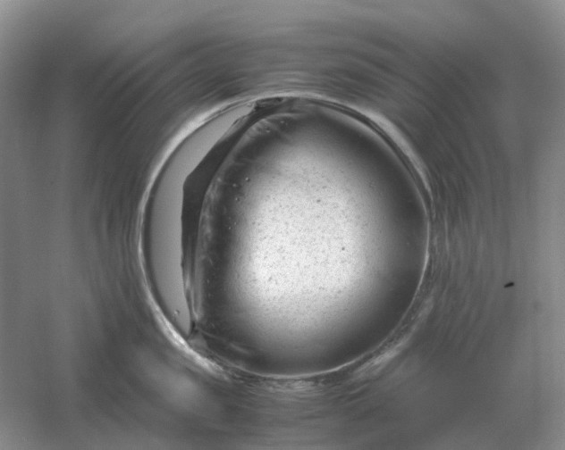 X0000061120957200512022149