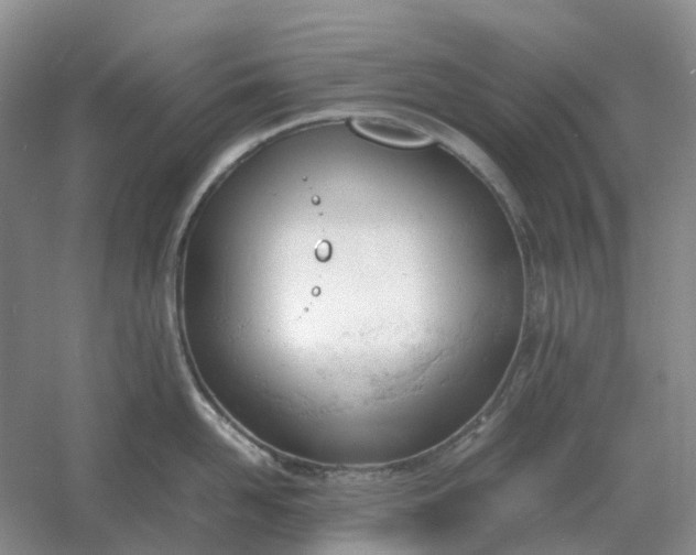 X0000061120958200512022149