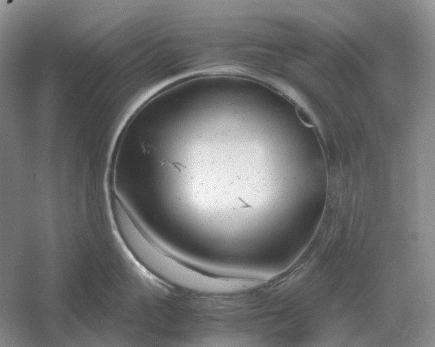 X0000061120959200512022149