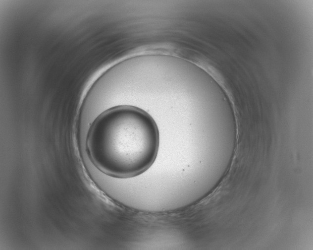 X0000061120960200512022149