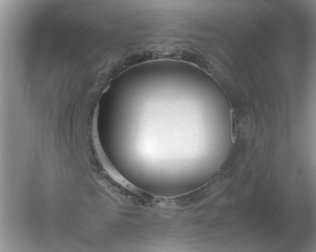 X0000061120961200512022148