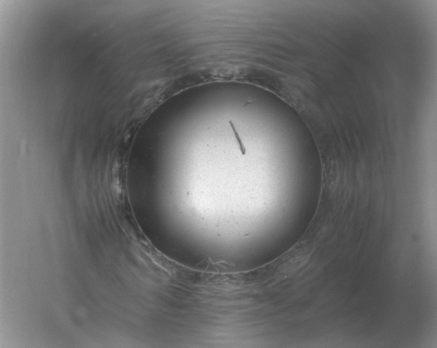 X0000061120962200512022148