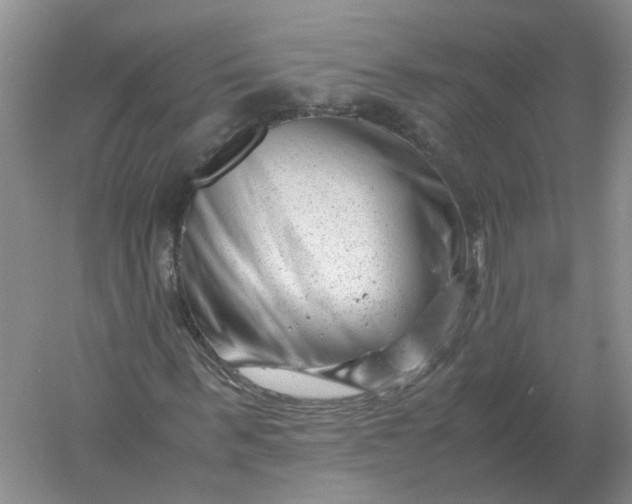 X0000061120963200512022148