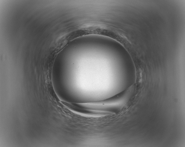 X0000061120965200512022148