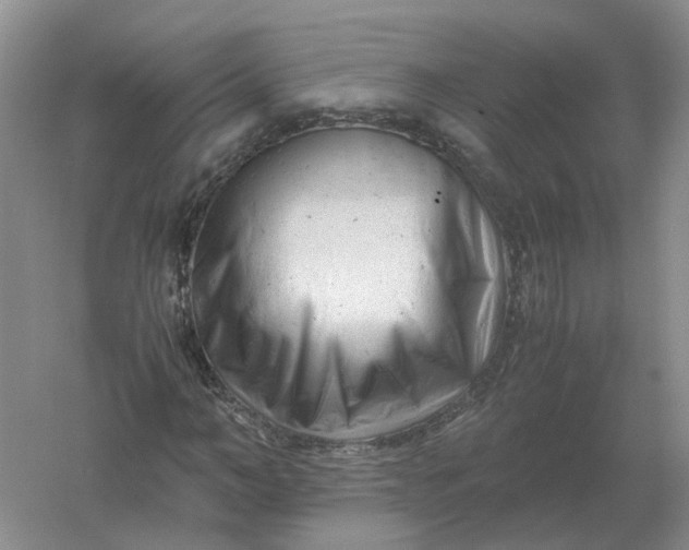 X0000061120966200512022148