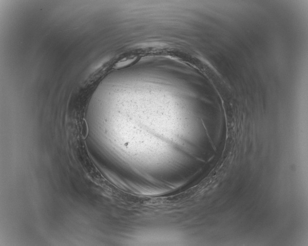 X0000061120967200512022148