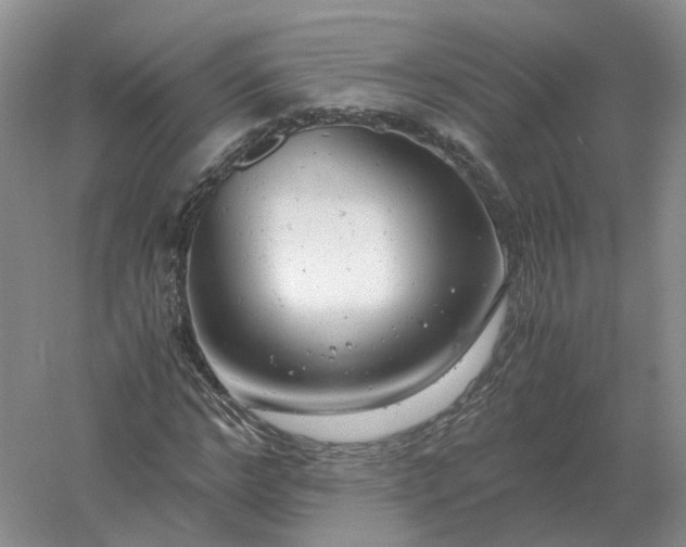 X0000061120968200512022148