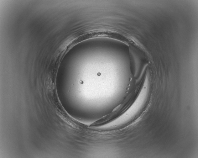 X0000061120969200512022148