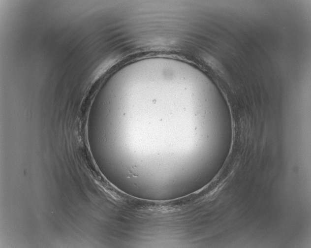 X0000061120970200512022148