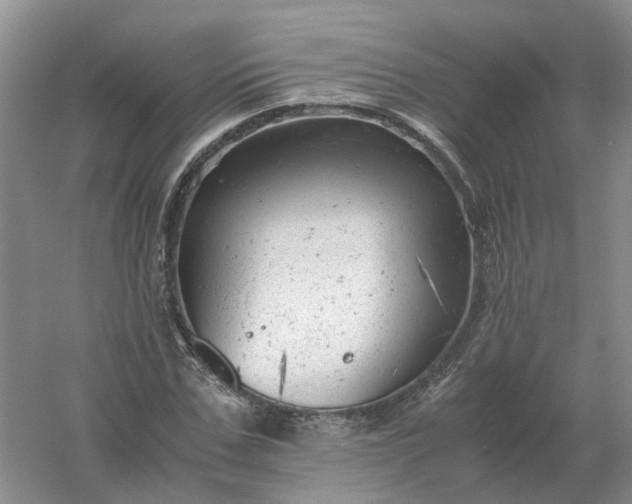 X0000061120971200512022148