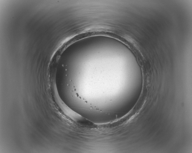 X0000061120973200512022148