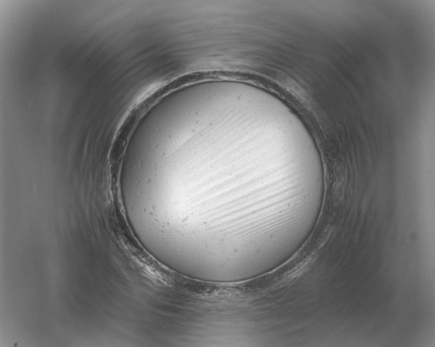 X0000061120974200512022148