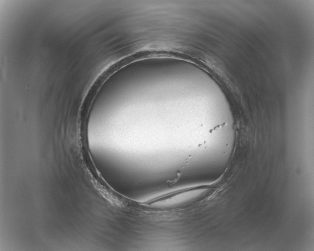 X0000061120976200512022148