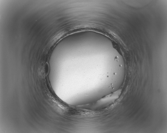 X0000061120977200512022148